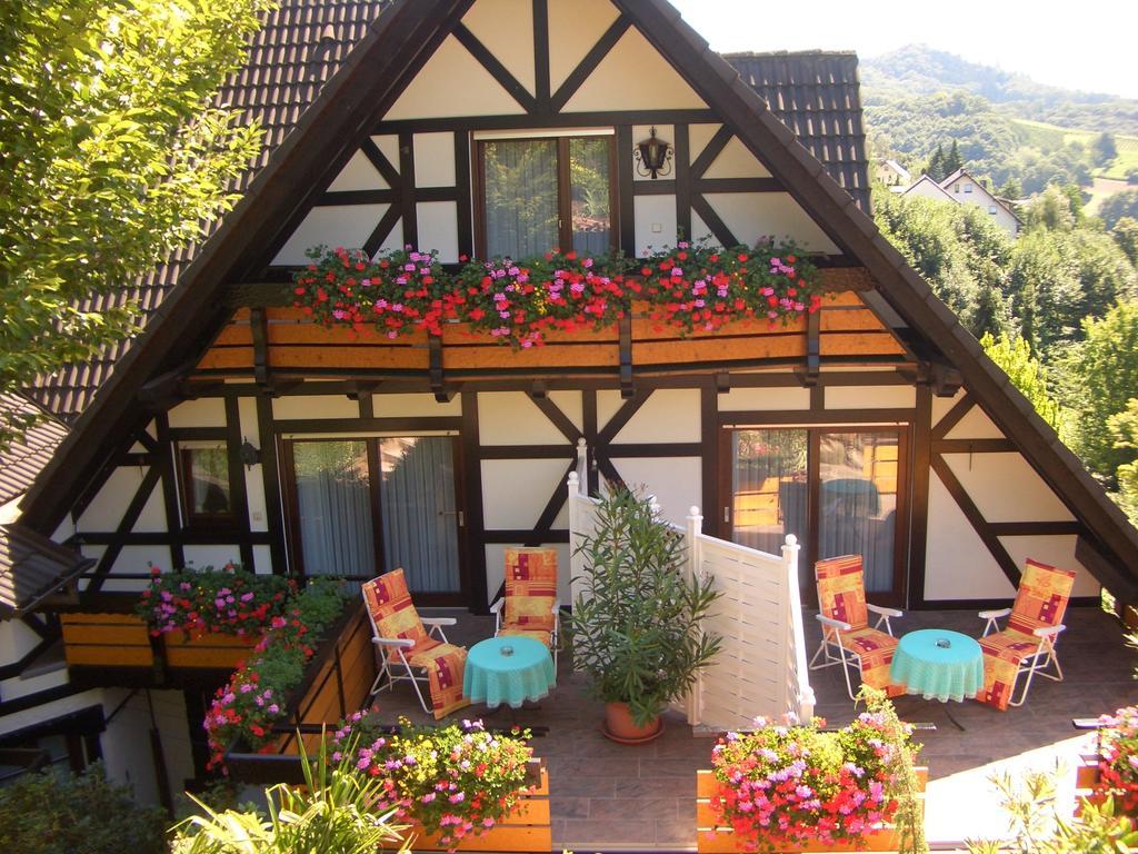 Landhaus Schneider Засбахвальден Экстерьер фото